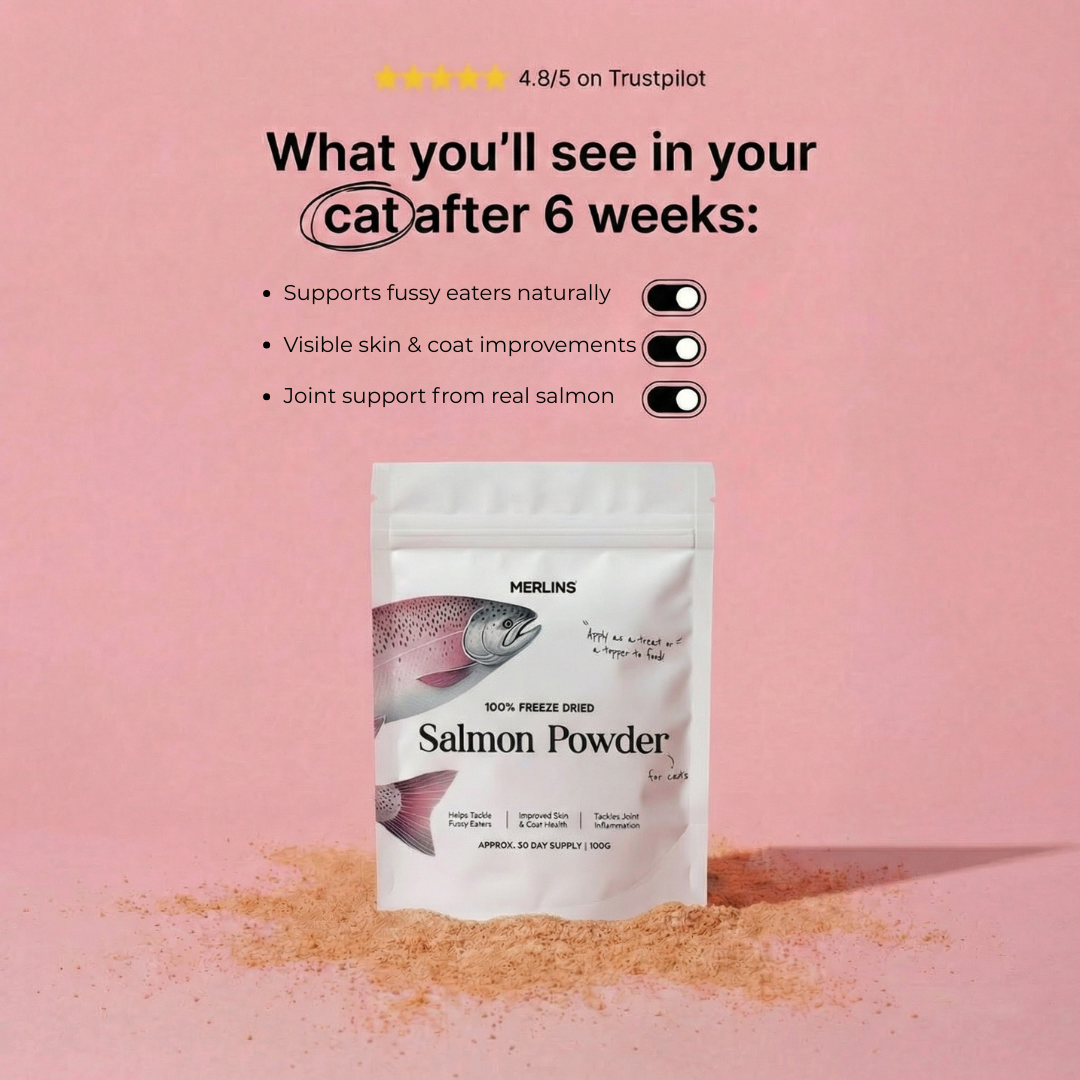 A pile of brown sugar against a white background.