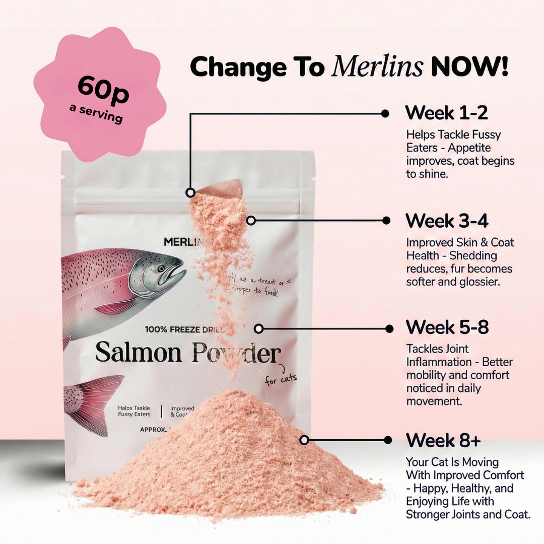 A pile of brown sugar against a white background.