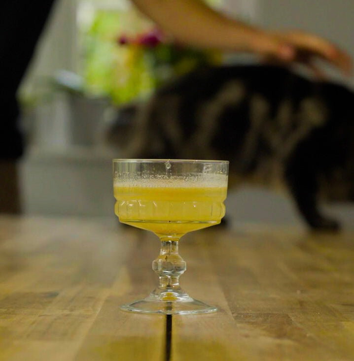 Why Hydration Matters for Cats