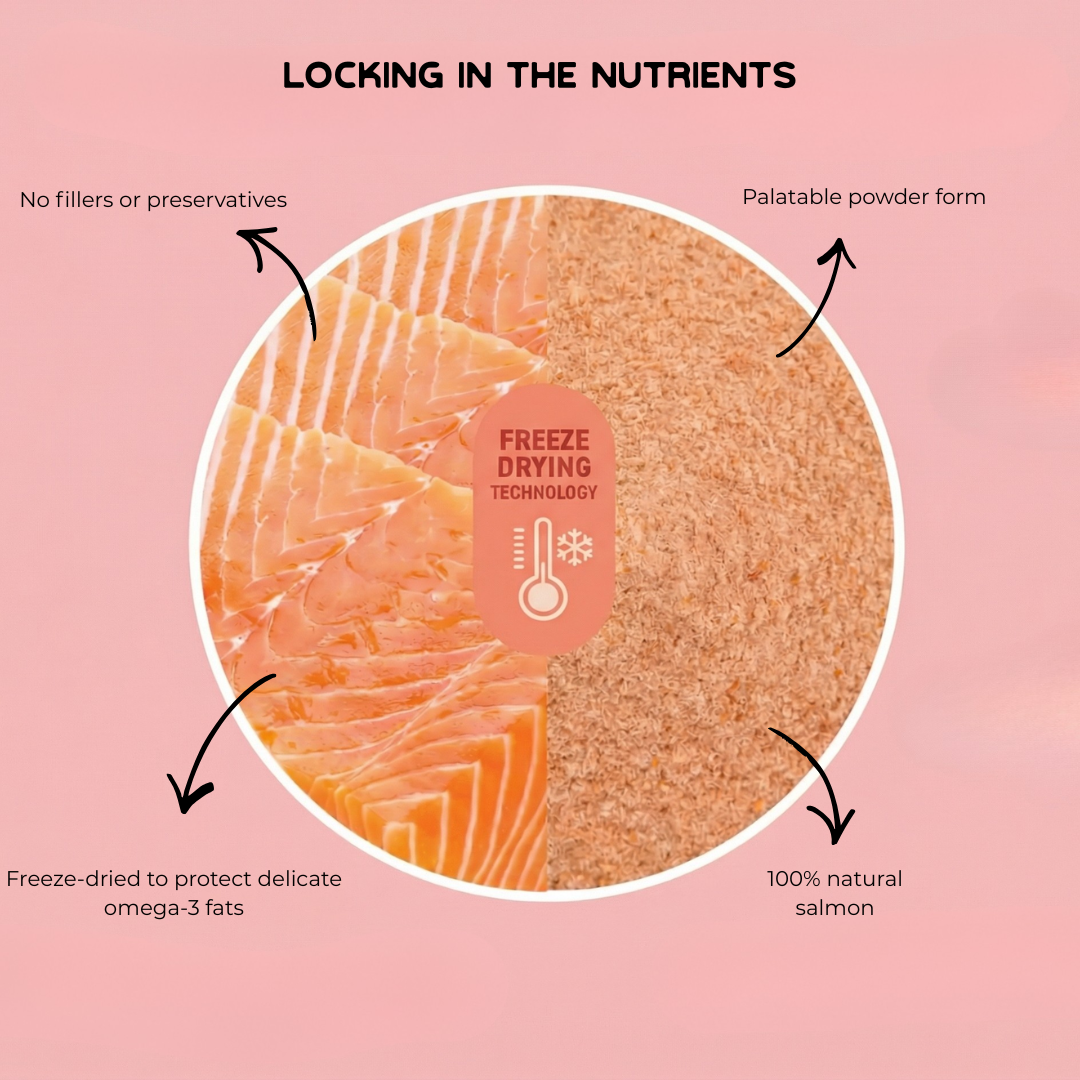 Why Freeze-Dried Salmon Is the Cleanest Form of Omega-3 for Cats - Merlins