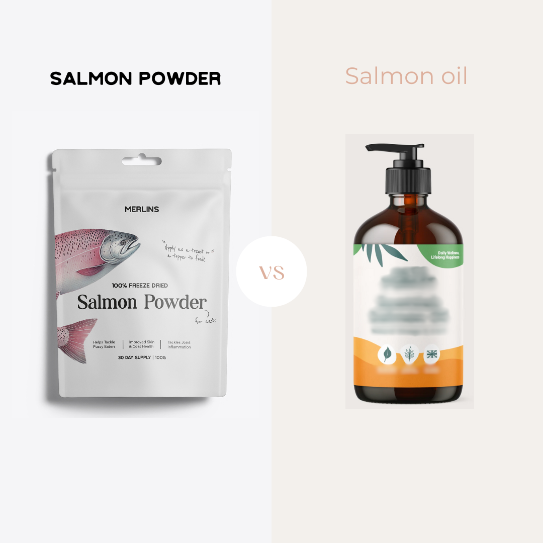 Salmon Oil Vs Salmon Powder