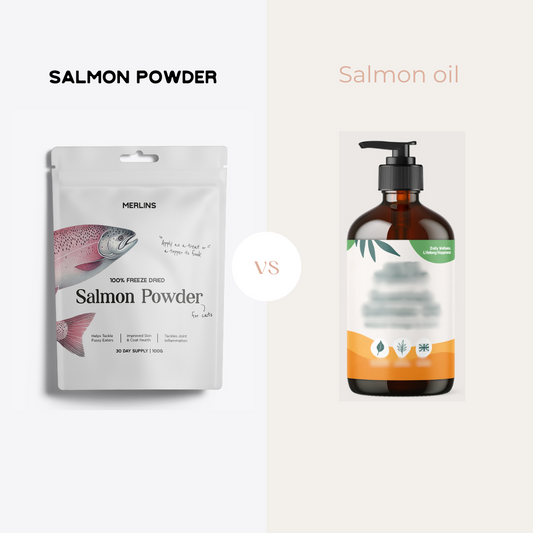 Salmon Oil Vs Salmon Powder - Merlins