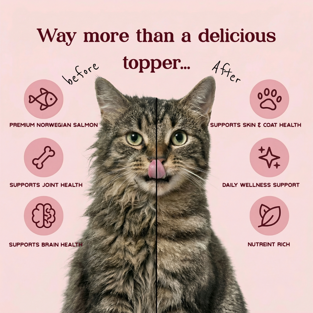 A pile of brown sugar against a white background.