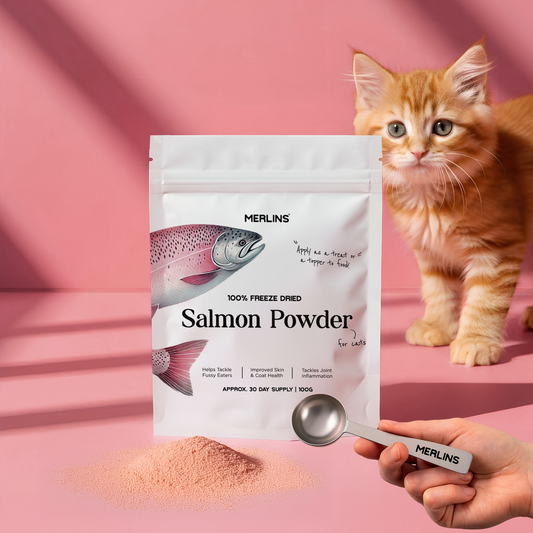 Merlins Starter Bundle